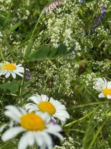 45 Freedom Road Belgrade ME 04917