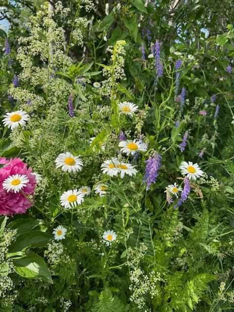 45 Freedom Road Belgrade ME 04917