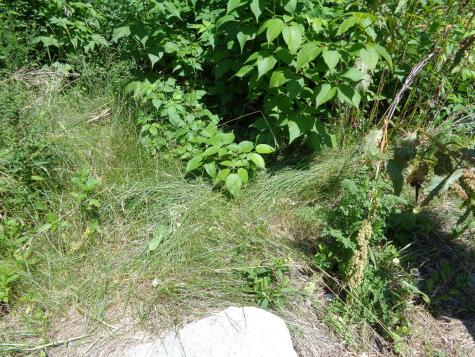 1181 Happytown Road Ellsworth ME 04605