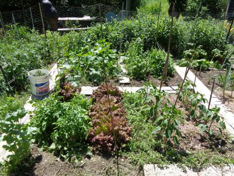 1181 Happytown Road Ellsworth ME 04605