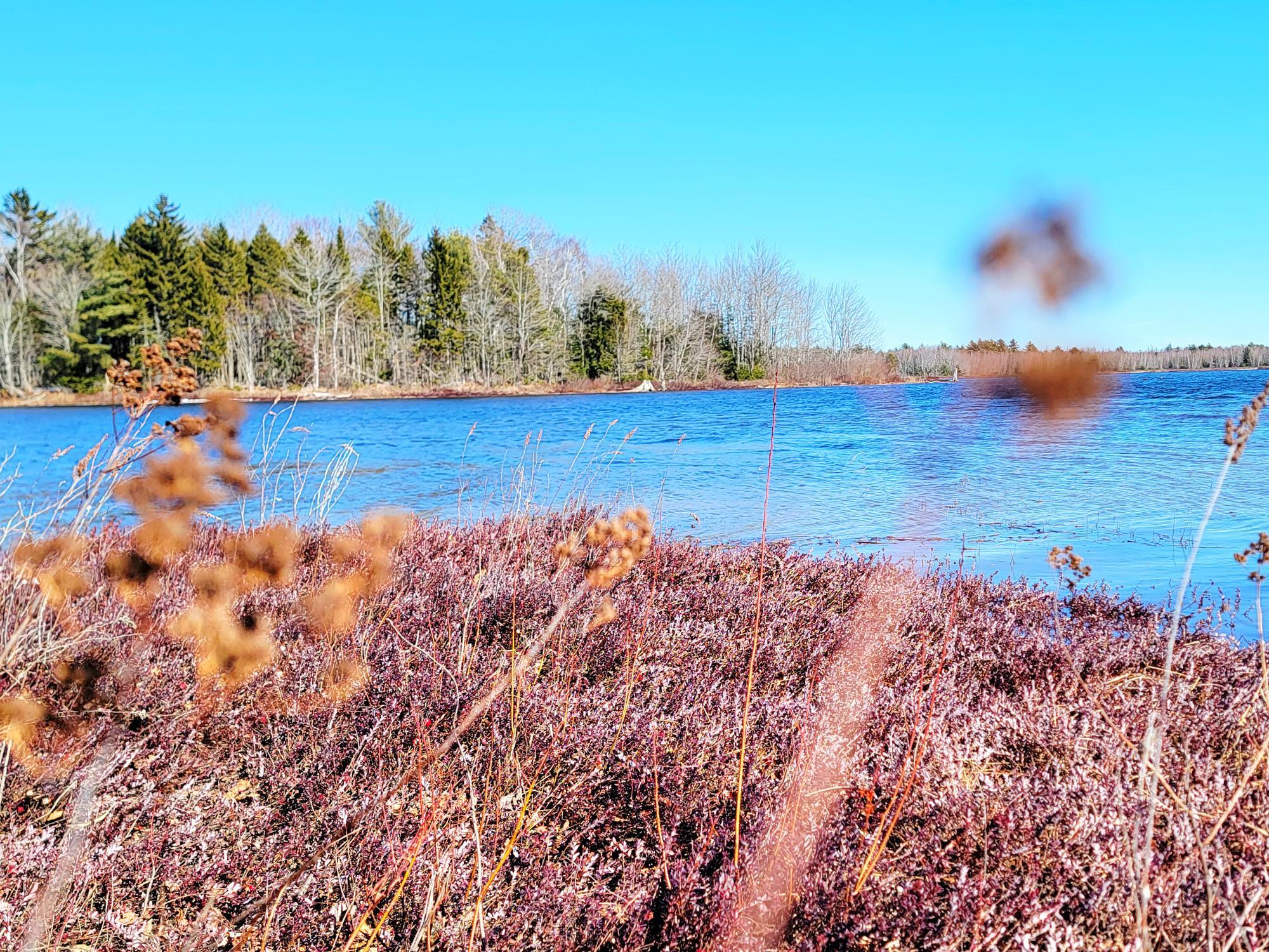 200 Tannery Brook Road Mariaville ME 04605