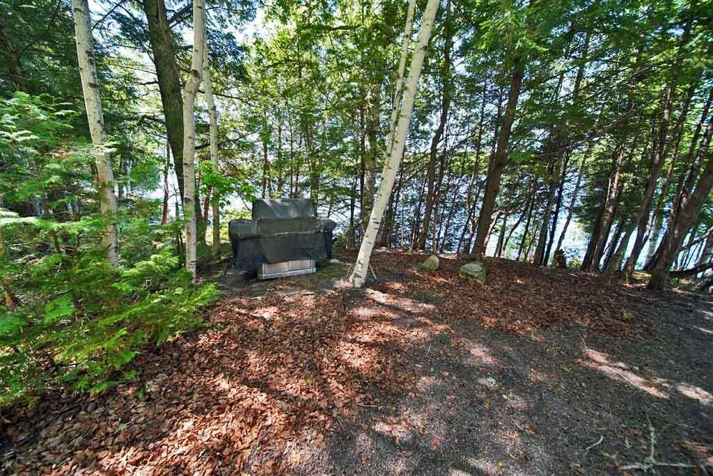 101 S South Shore Road Linneus ME 04730
