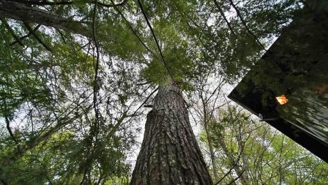 101 S South Shore Road Linneus ME 04730