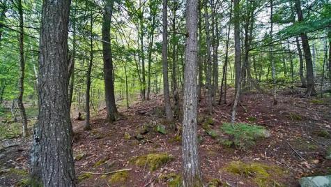 101 S South Shore Road Linneus ME 04730