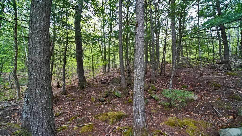 101 S South Shore Road Linneus ME 04730