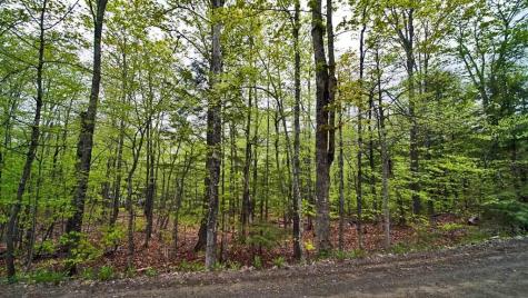 101 S South Shore Road Linneus ME 04730