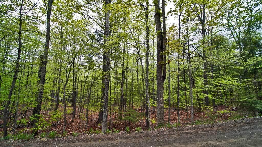 101 S South Shore Road Linneus ME 04730
