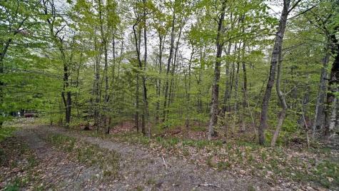 101 S South Shore Road Linneus ME 04730