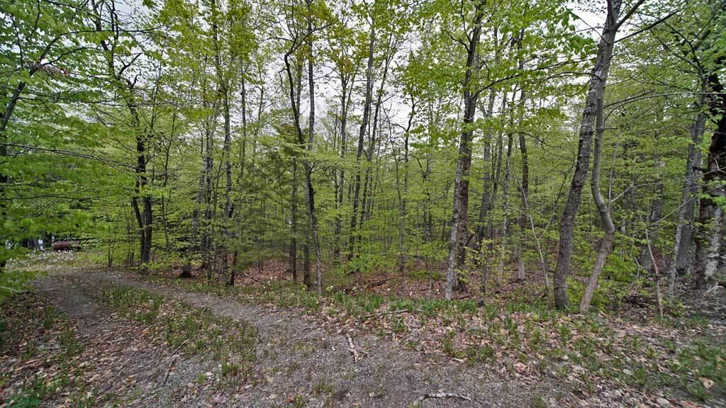 101 S South Shore Road Linneus ME 04730