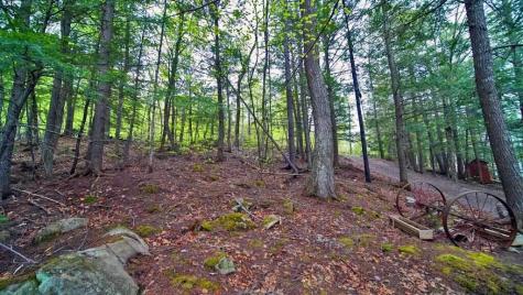 101 S South Shore Road Linneus ME 04730