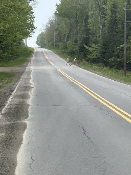 114 East Shore Road Benedicta Twp ME 04733