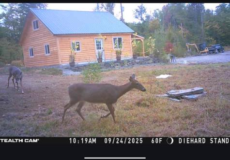 8 Amy Way Milo ME 04463