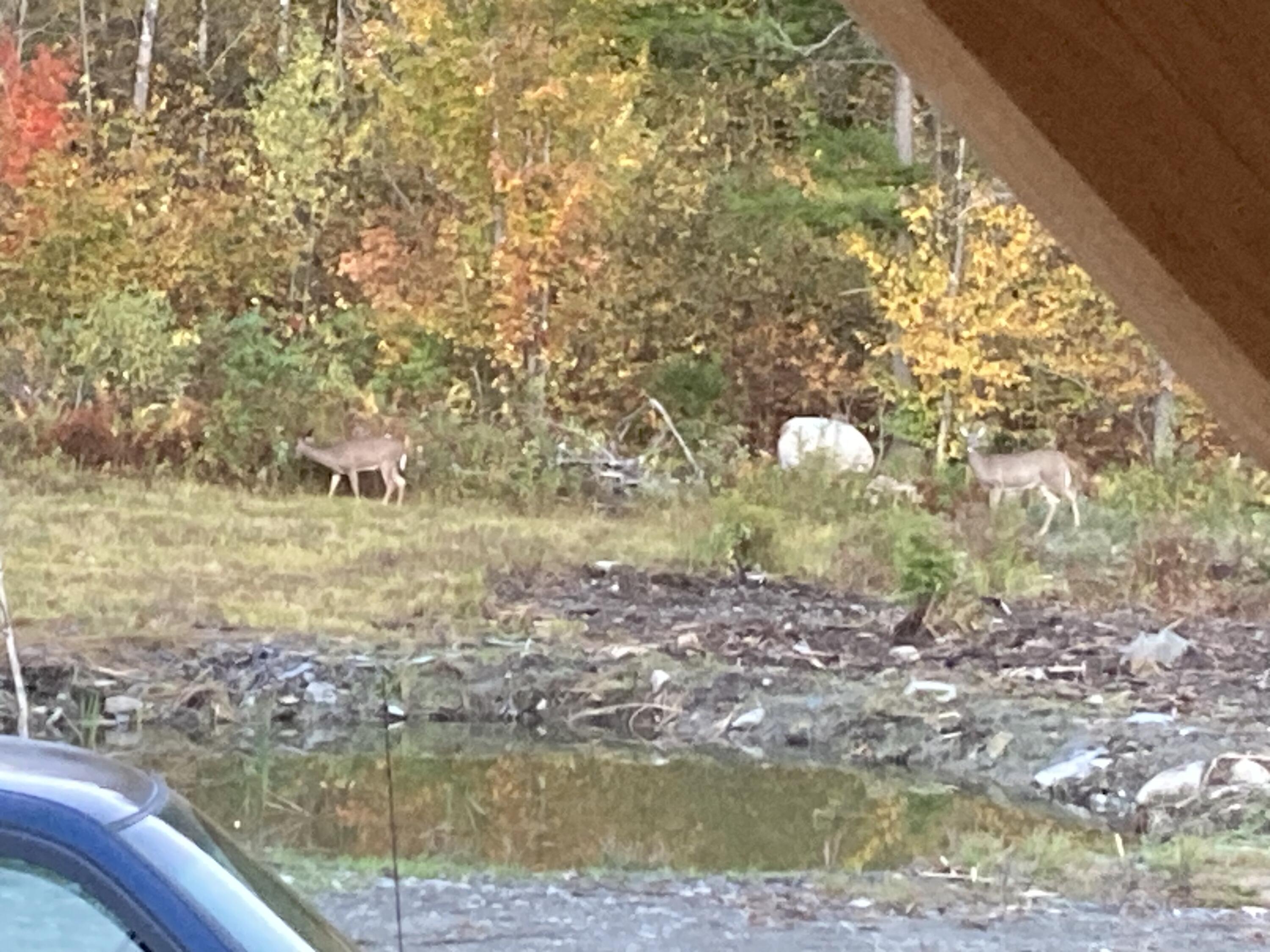 8 Amy Way Milo ME 04463