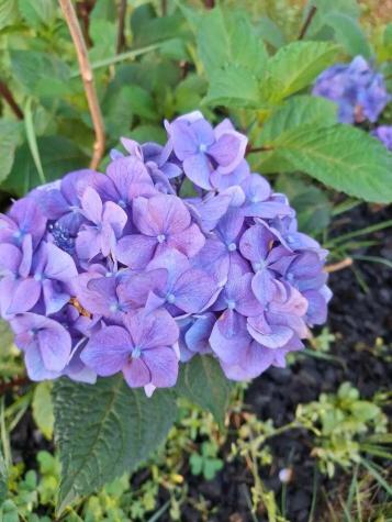 35 Deerfield Drive Brunswick ME 04011