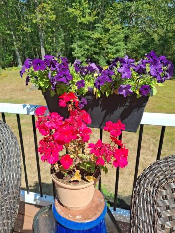 35 Deerfield Drive Brunswick ME 04011