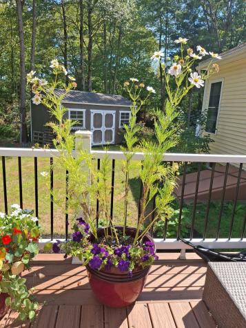 35 Deerfield Drive Brunswick ME 04011