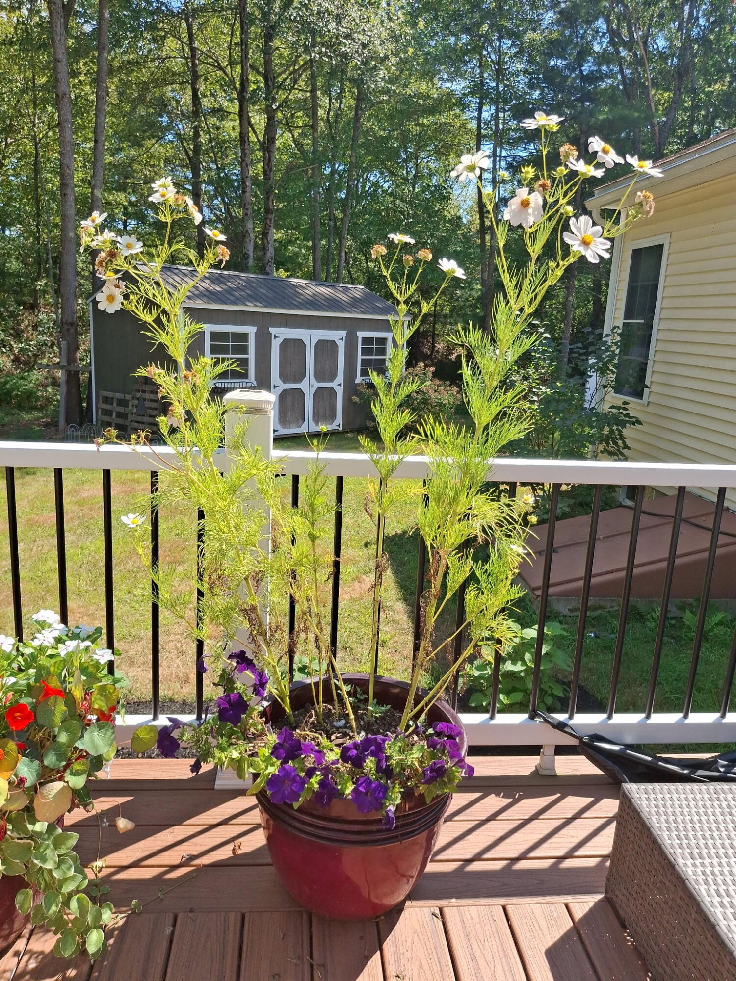 35 Deerfield Drive Brunswick ME 04011