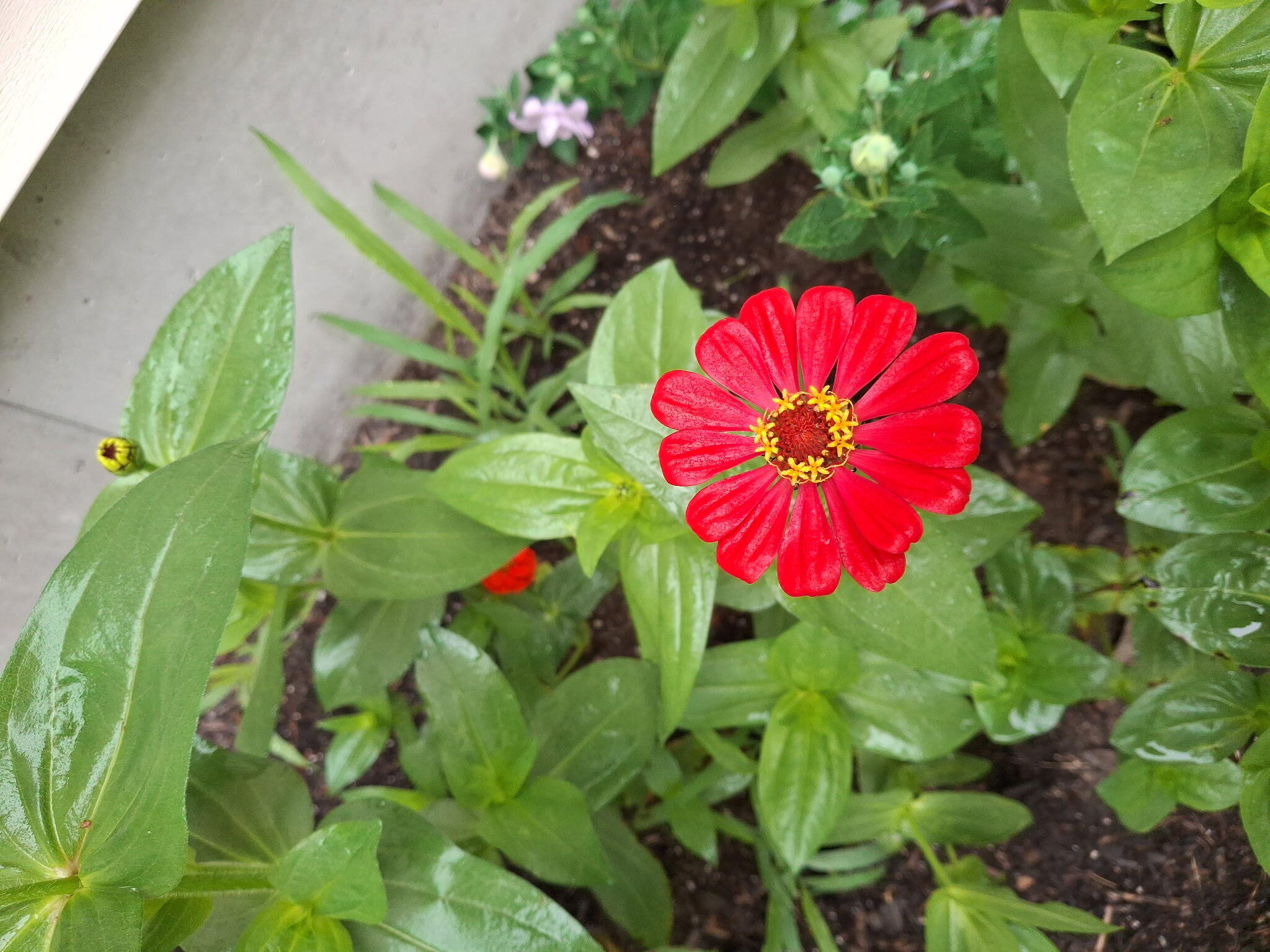 35 Deerfield Drive Brunswick ME 04011