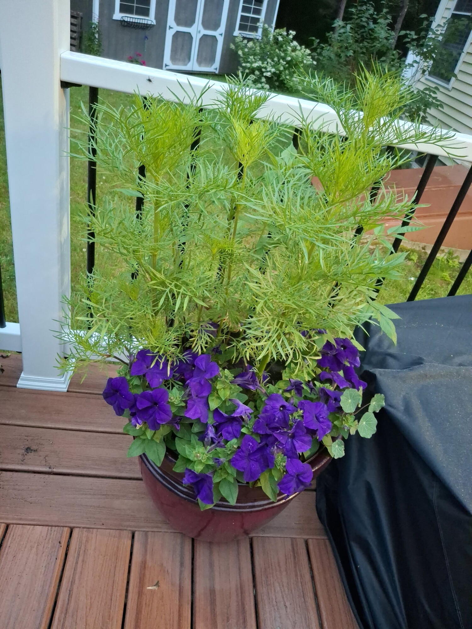 35 Deerfield Drive Brunswick ME 04011