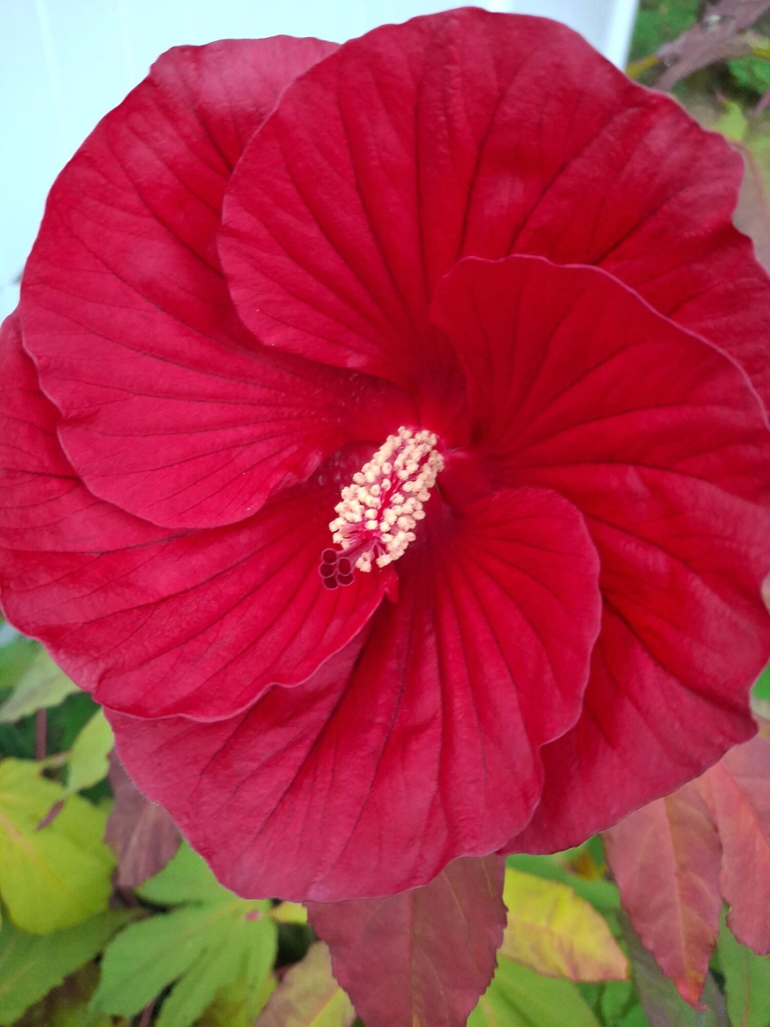 35 Deerfield Drive Brunswick ME 04011