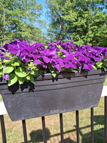 35 Deerfield Drive Brunswick ME 04011