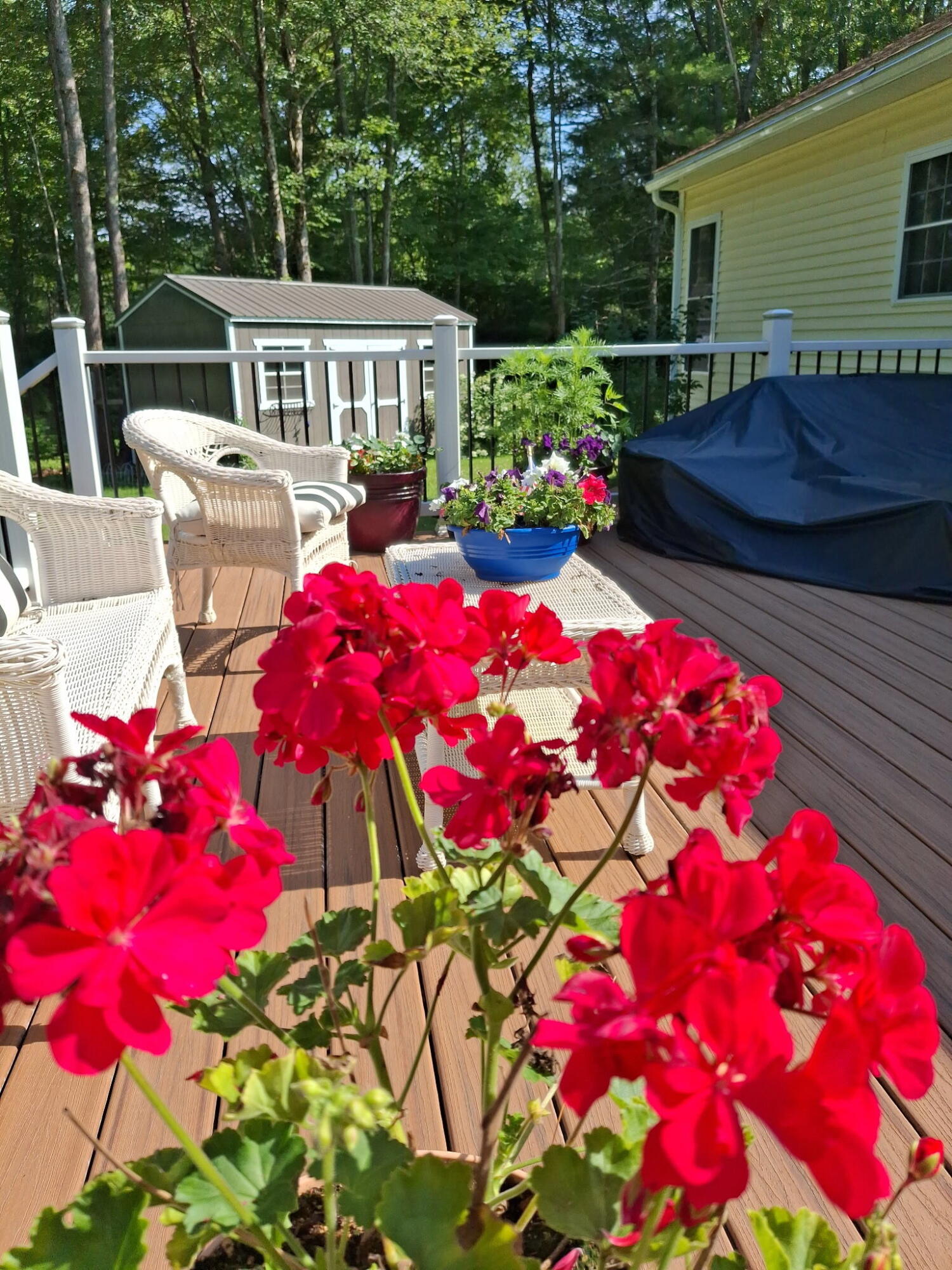 35 Deerfield Drive Brunswick ME 04011