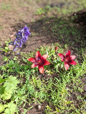 35 Deerfield Drive Brunswick ME 04011