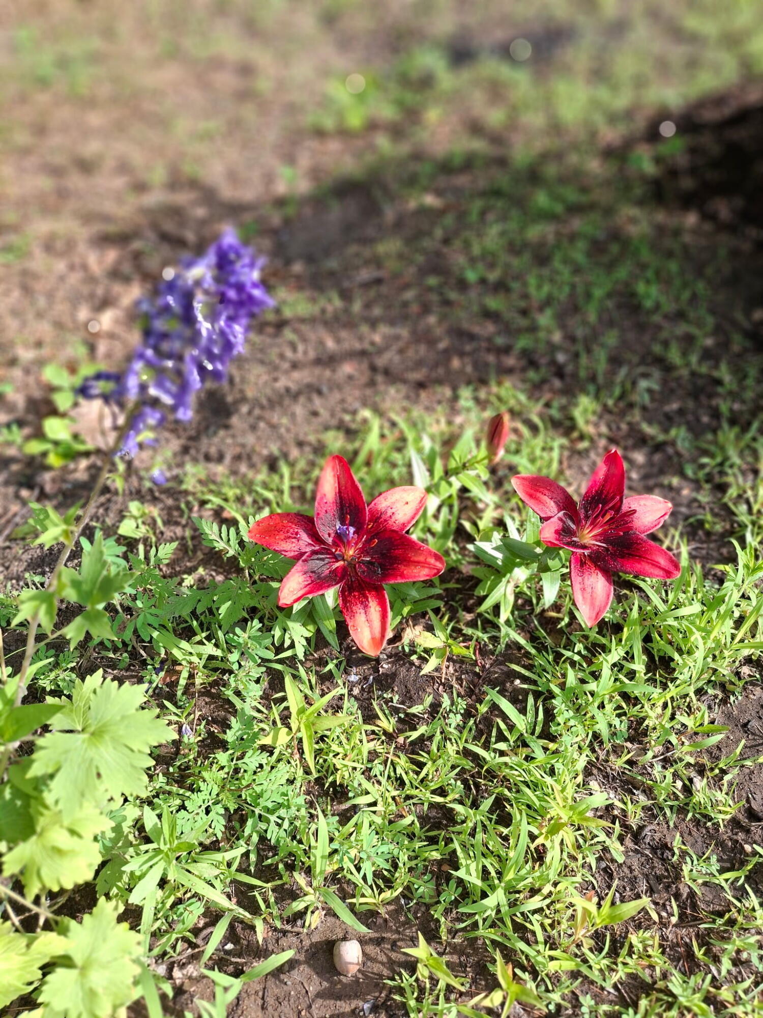 35 Deerfield Drive Brunswick ME 04011