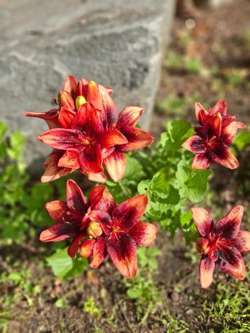 35 Deerfield Drive Brunswick ME 04011