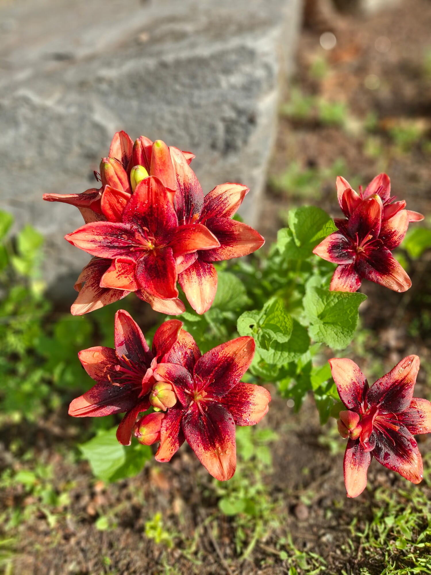 35 Deerfield Drive Brunswick ME 04011