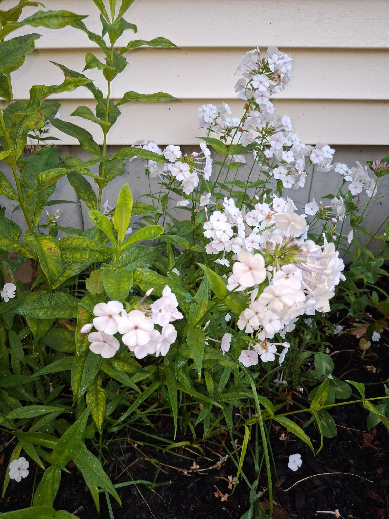 35 Deerfield Drive Brunswick ME 04011