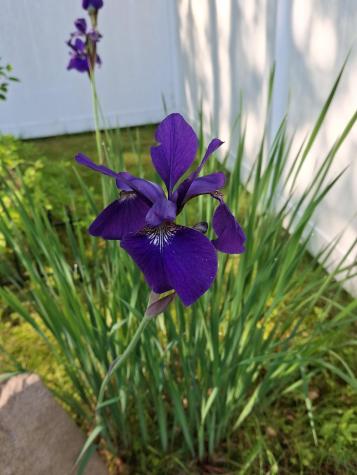 35 Deerfield Drive Brunswick ME 04011