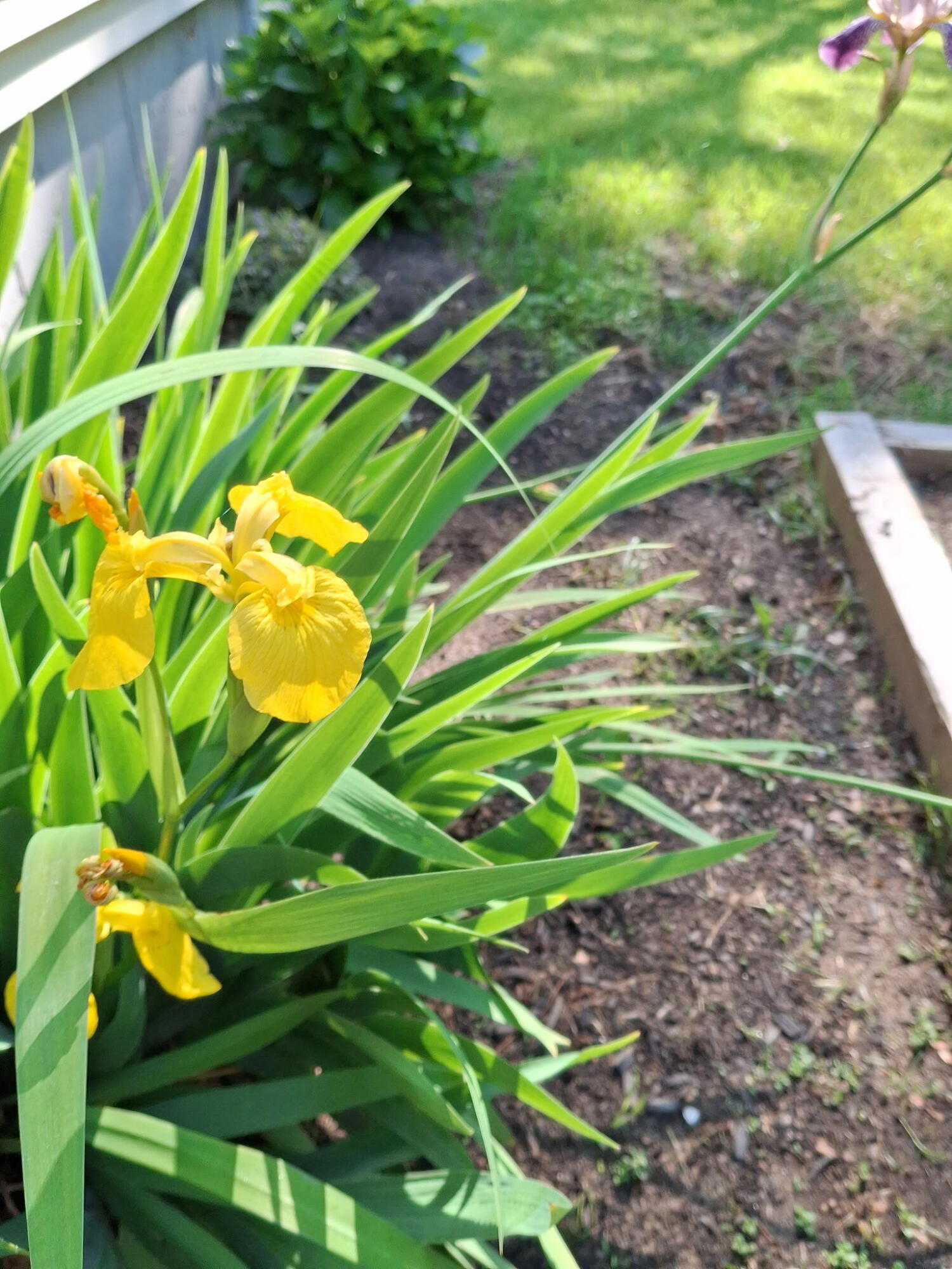 35 Deerfield Drive Brunswick ME 04011