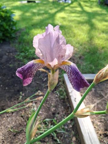 35 Deerfield Drive Brunswick ME 04011