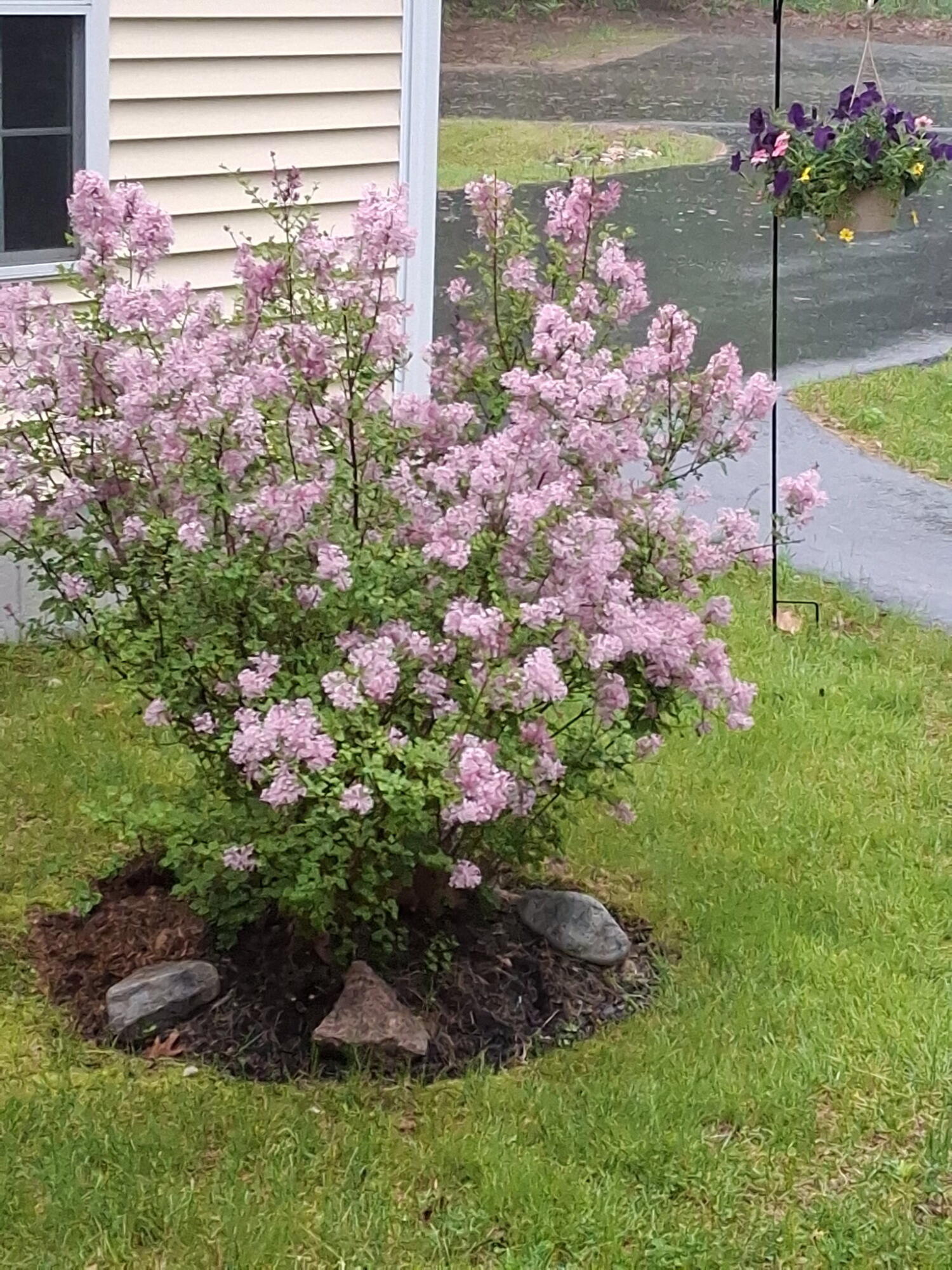 35 Deerfield Drive Brunswick ME 04011