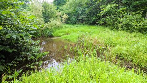 29 Kent's Hill Road Wayne ME 04284