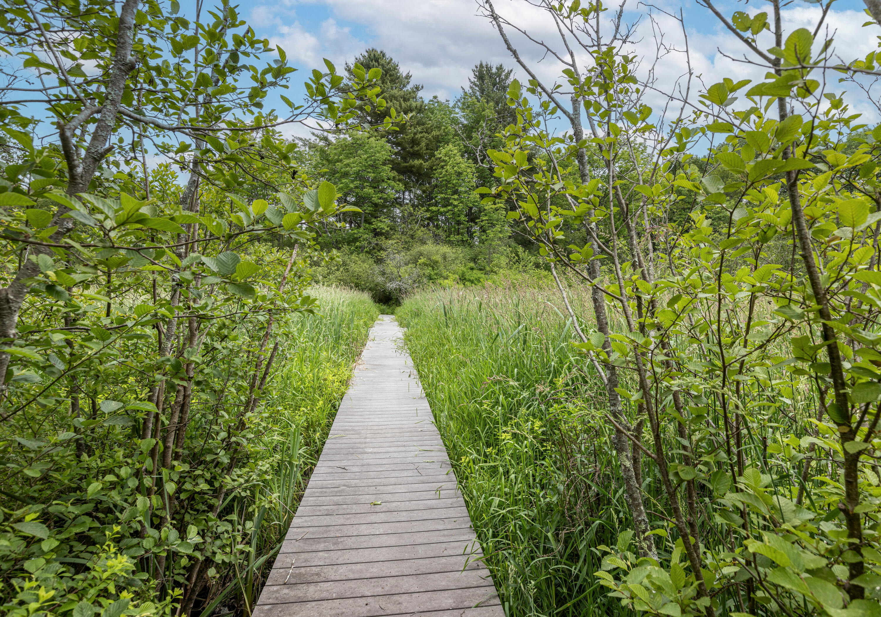 155 Tuttle Road Cumberland ME 04021