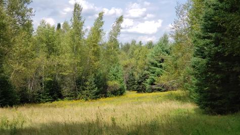 161 Herring Tract Road Willimantic ME 04443