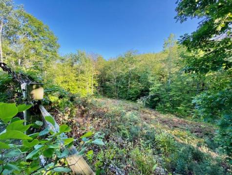 43 Mansfield Lane Brownfield ME 04010