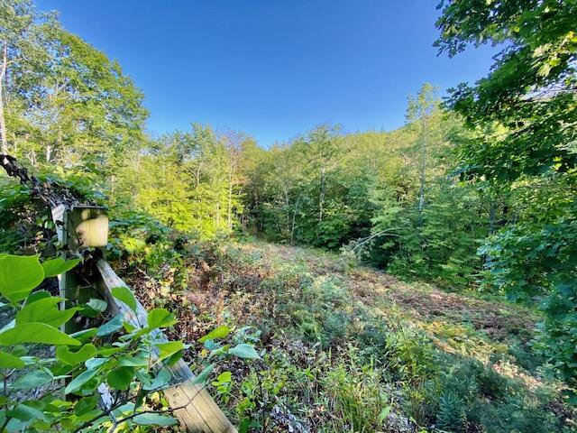 43 Mansfield Lane Brownfield ME 04010