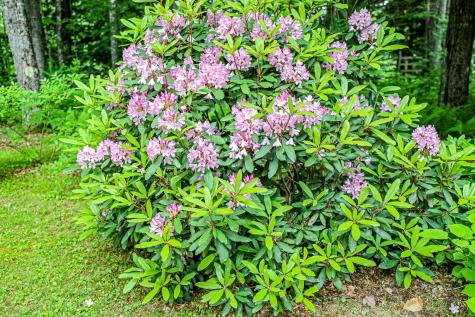 189 Center Hill Road Weld ME 04285