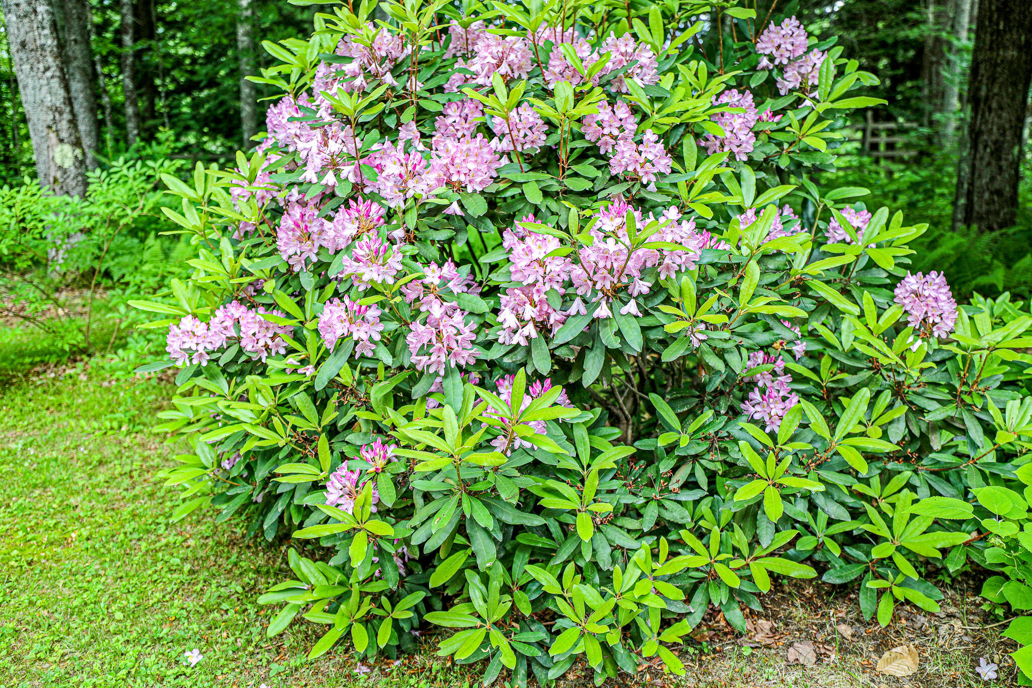 189 Center Hill Road Weld ME 04285