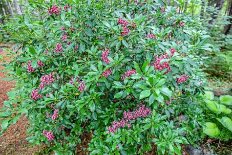 189 Center Hill Road Weld ME 04285