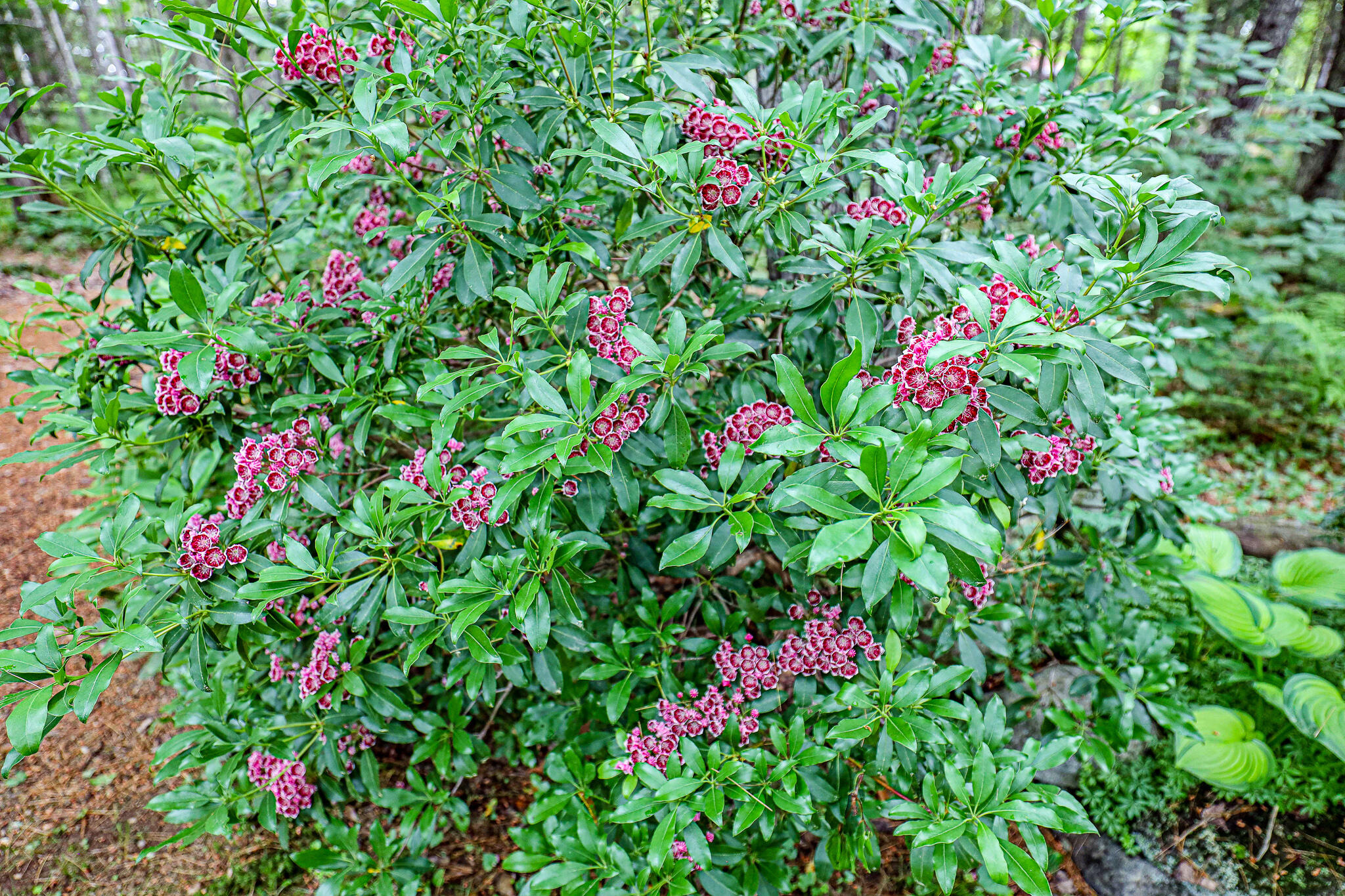 189 Center Hill Road Weld ME 04285