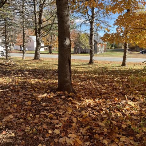 167 Main Street Brownfield ME 04010