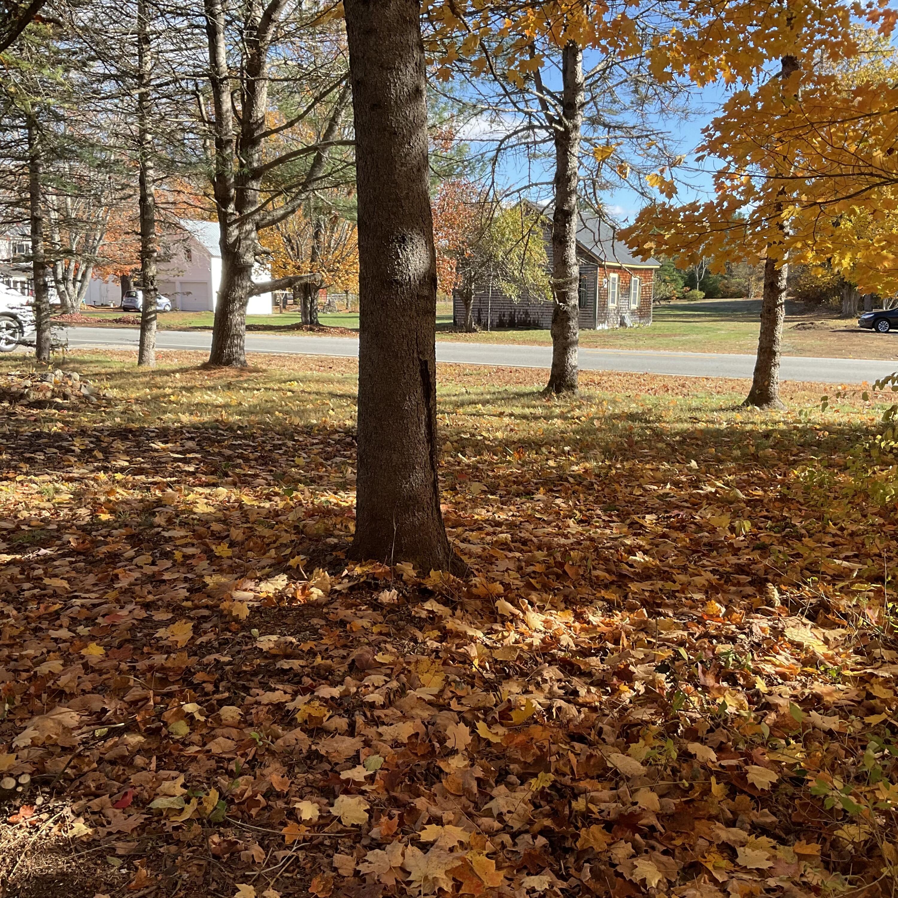 167 Main Street Brownfield ME 04010