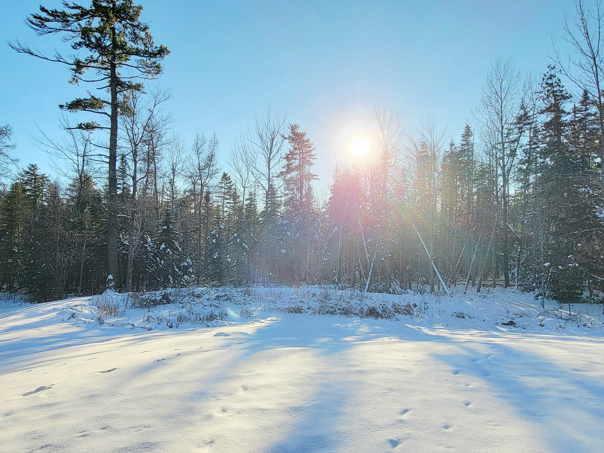 254 Mariaville Road Ellsworth ME 04605