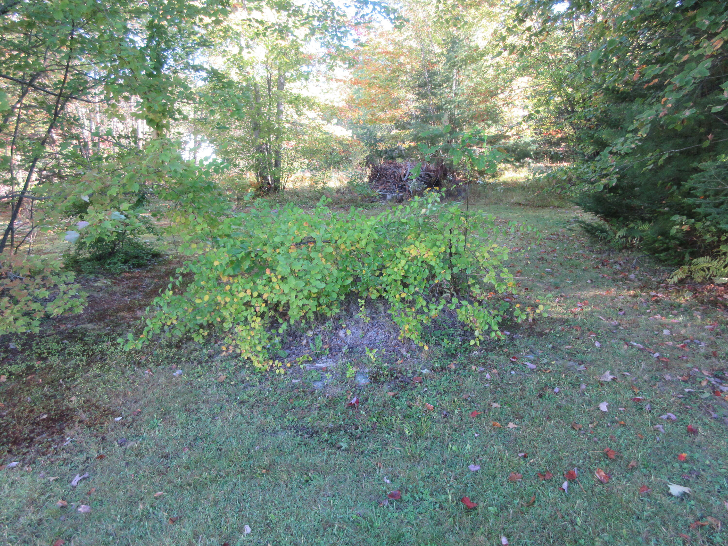 17 Stony Ridge Drive Washington ME 04574