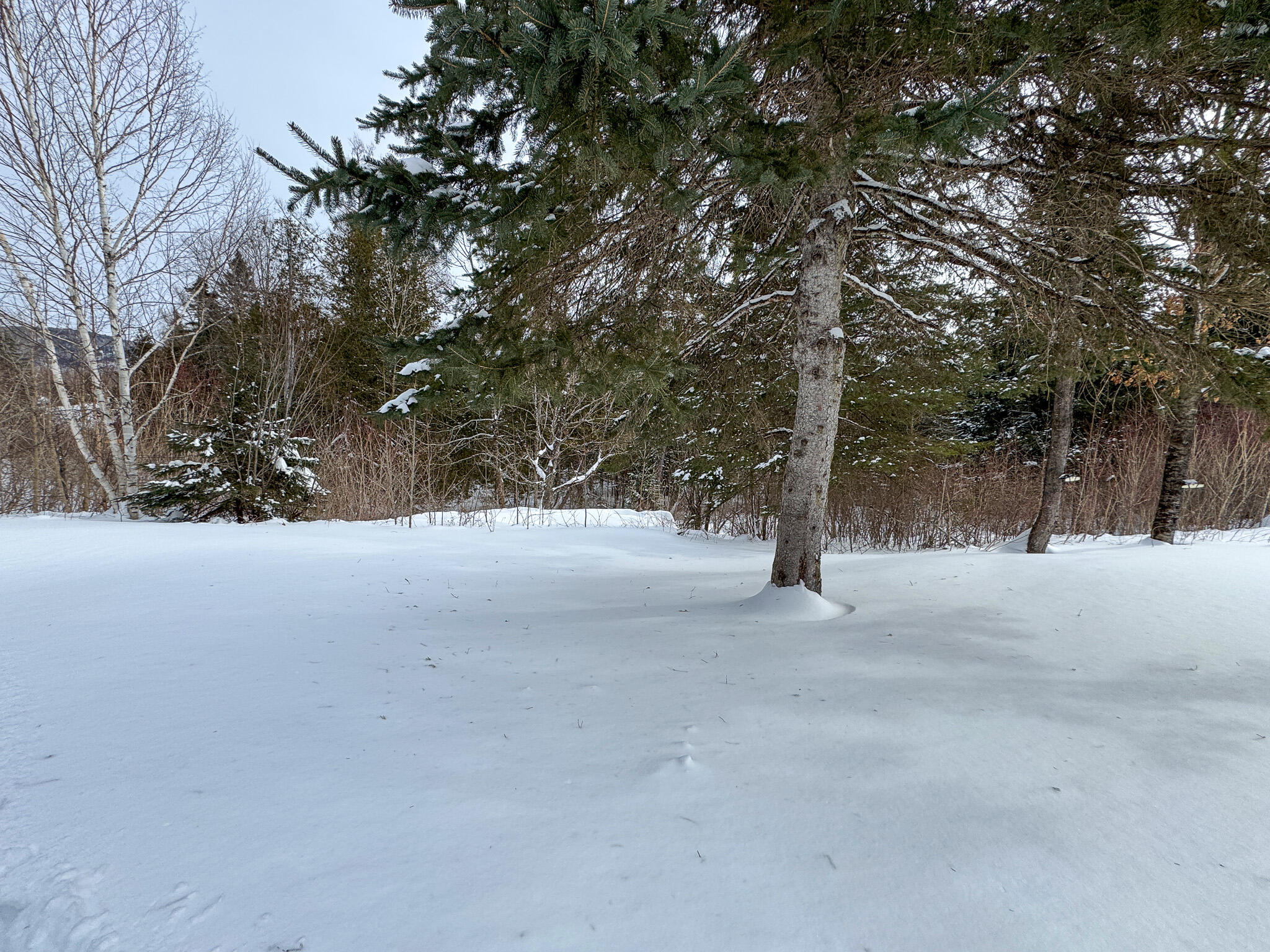 208 Field Lane Blaine ME 04734