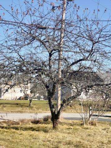 69 Mill Street Harrington ME 04643